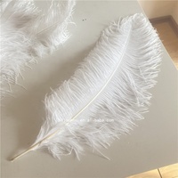 Bricolage grande plume blanche carnaval 70-75cm plume d'autruche pour la décoration de fête