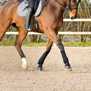 Venta Directa de Fábrica, Máscara Antimoscas de Malla de Alta Calidad, Protectores de Patas para Caballos con Servicio Personalizado OEM, Colores y Tamaños Personalizables - Product Image 6