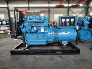 Groupe électrogène diesel avec régulateur de tension automatique (AVR) et contrôleur à affichage numérique pour une sortie électrique fiable - Product Image 4