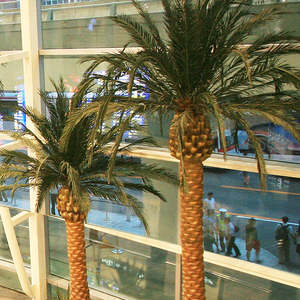 Personalizar plantas ornamentales tropicales Dubai decoración de interiores, artificiales de árbol de <span class=keywords><strong>Palma</strong></span> - Product Image 2