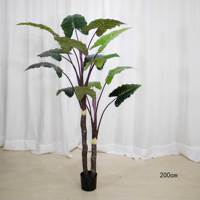 Plante artificielle Calathea Y981, palmier vert italien, plante en pot décorative, vente en gros, décoration d'intérieur, plantes en plastique