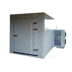 Mobile fruit cooling room refrigeration unit mini freezer cold room storage for sale