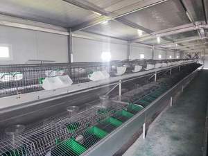 กรงกระต่ายชุบสังกะสีสำหรับ<span class=keywords><strong>ฟาร์ม</strong></span><span class=keywords><strong>กระต่าย</strong></span><span class=keywords><strong>เนื้อ</strong></span>ในยูกันดา - Product Image 5