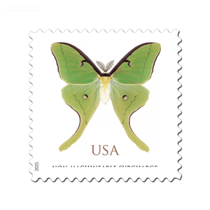 Etiquetas de Sellos Postales 2025, Bolsas Transparentes con Logotipo, Autoadhesivas, para Paquetería - Product Image 5
