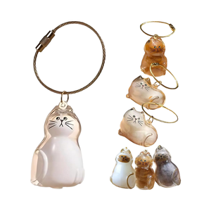 Porte-clés capsule commémorative portable en PVC de marque OEM pour poils de <span class=keywords><strong>chat</strong></span>, cadeau de souvenir pour les amoureux des chats et les propriétaires d'animaux, flacon de conservation des poils - Product Image 1