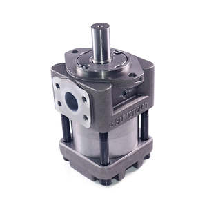 Pompe hydraulique à engrenages internes SUMI TOMO série QT 40cc/rev à 80cc/rev 50cc/rev à 125cc/rev - Product Image 2