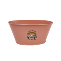 Seau en métal Baignoire ovale Pot de fleur enduit de poudre Peinture pour enfants Kit de plantes et de fleurs Pot de jardinage