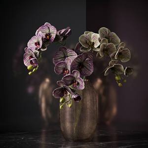 Orchidee Artificiali Phalaenopsis Real Touch, Stampa 3D, 7 Teste, Viola Scuro con Venature, per Centrotavola Matrimoni e Decorazioni Casa - Product Image 3