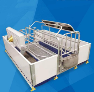 Chất Lượng Cao Pig Farrowing Crate, Pig Gia Cầm Lồng, Pig Trang Trại Thiết Bị - Product Image 6