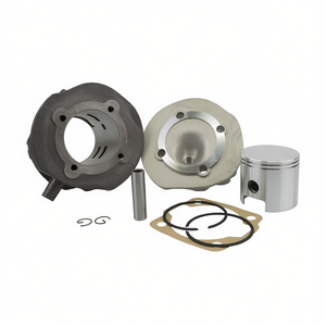 Nouveau kit de cylindre de moto Pinasco 102cc en fonte, comprenant des culasses pour remplacement/réparation - Product Image 2