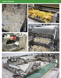 Gelgoog Banana Chip Making Machine Automat Plantains Chips linea di prodotti a Guangzhou