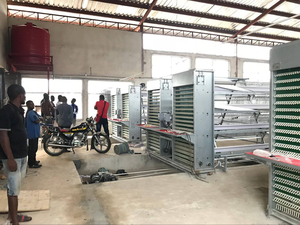 Nuevo equipo automático <span class=keywords><strong>de</strong></span> acero galvanizado, componentes <span class=keywords><strong>de</strong></span> rodamiento <span class=keywords><strong>de</strong></span> Motor, jaulas <span class=keywords><strong>de</strong></span> capa para puesta <span class=keywords><strong>de</strong></span> huevos <span class=keywords><strong>de</strong></span> pollo para granjas avícolas utilizadas para aves - Product Image 5
