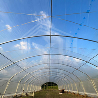 Enkelspannings PE-folie handmatige/elektrische ventilatie grote tropische landbouwkas voor fruitteelt