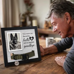 2026 Caisse de présentation commémorative noire pour animaux de compagnie, cadre boîte à ombre pour collier et <span class=keywords><strong>photo</strong></span>, pour la commémoration des chiens et des chats - Product Image 1