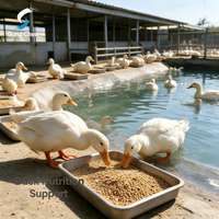 L-Thréonine en vrac de qualité alimentaire, poudre d'acide aminé en gros, CAS 72-19-5, sacs de 25 kg et sacs jumbo, expédition mondiale