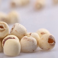Vente en gros de graines de lotus séchées de Chine Offre Spéciale graines de lotus comestibles biologiques
