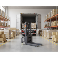Chariot élévateur à palettes électrique portable de 300 kg avec batterie au plomb-acide