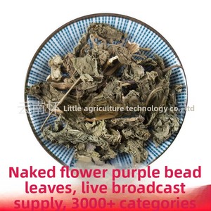 Venta al por mayor grande para Dove Mia Village Fan con flor desnuda <span class=keywords><strong>hoja</strong></span> de perla púrpura <span class=keywords><strong>hoja</strong></span> de viento arroz seco sopa estilo tipo de procesamiento crudo - Product Image 2