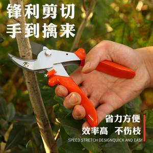 Sécateur double à lame croisée en acier inoxydable de 90 mm pour la taille des arbres fruitiers et des jardins, diamètre de coupe 20-30 mm - Product Image 1