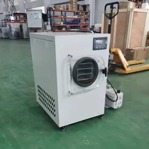 Home use mini fruit freeze drying machine for sale/meat animal feed freeze dryer/industrial fruit drying machine