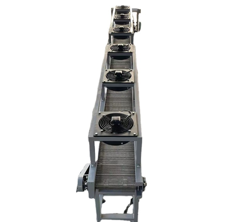 Customize Stainless Steel Wire Mesh Conveyor