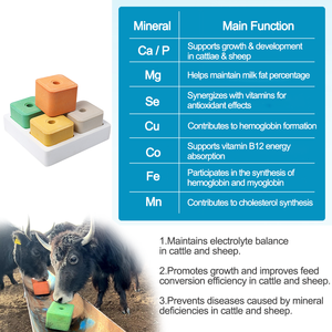 Bloque Mineral de Alta Calidad para Ovejas, Ganado, Animales de Granja, Nutrición Orgánica, Sal Mineral - Product Image 2