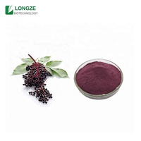 OEM poudre de mélange d'herbes liquides en vrac Super Food Wild-Cultivated Mixed Berry Framboise Pitaya pour tambour de complément alimentaire