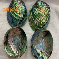 Bol à écumeur en coquille d'abalone poli, 1 pièce, 5 pouces, Double face poli