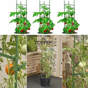 Plastic Coated <b>Tomato</b> Plant <b>Support</b> Stake for Sale - Product Image 5