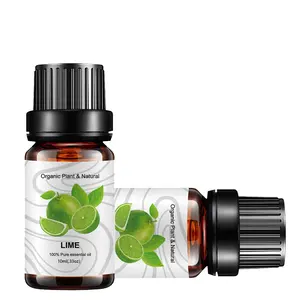 Bottle Oils Private Label Lime Essential Oil for Vaporization Humidifier Mental Booster