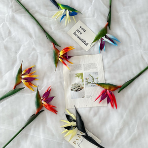 Usine de fleurs artificielles Meiyu Craft, fleurs artificielles en plastique d'oiseau de paradis, aspect naturel et réaliste, décoration intérieure, accessoires de photographie - Product Image 1