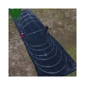 Invernadero Tipo Túnel de un Solo Tramo Resistente al Viento para Cultivadores del Medio Oriente - Product Image 2
