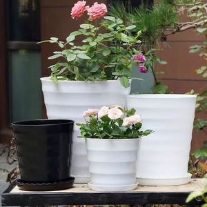 <span class=keywords><strong>Maceta</strong></span> de Plástico Ecológica con Cintura Alta y Rosca, con Orificio de Drenaje para Plantas Verdes, Venta al Por Mayor de Fabricantes - Product Image 1