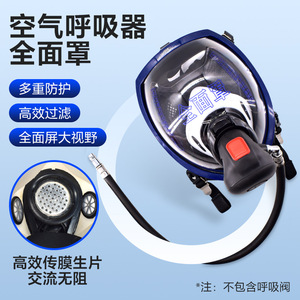 Masque respiratoire intégral avec valve d'alimentation en air pour la protection contre la poussière et les gaz nocifs, en silicone - Product Image 2