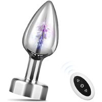 Plug anal en métal télécommandé avec fonction d'aspiration magnétique, accessoire féminin