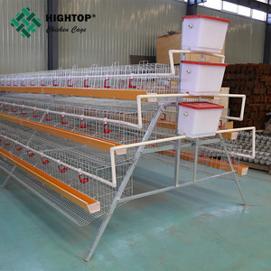 China de compras en línea un tipo 3 niveles de niveles un tipo capa de jaula de pollo - Product Image 5
