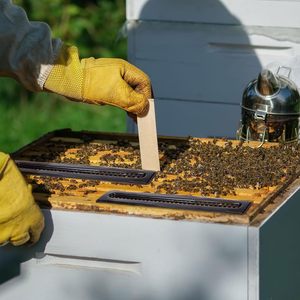 Hive Beetle bẫy cho tổ ong công cụ nuôi ong nghề nuôi ong Nguồn cung cấp kiểm soát bọ cánh cứng - Product Image 5