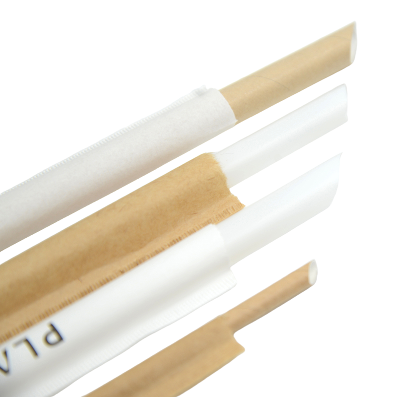 100 Compostable PLA Straws Biodegradable Eco