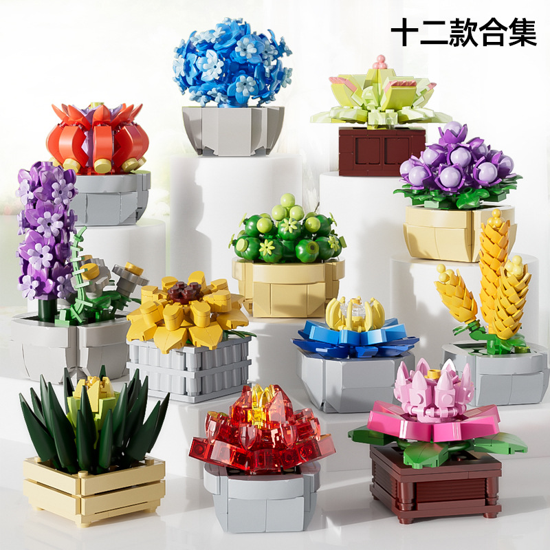 Xingya premium 11104: Una historia de suculentas.