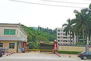 Tạo ra chất lượng nhà hàng mì ống ở nhà thép không gỉ Pasta maker tập tin đính kèm cho fettuccine - Product Image 6