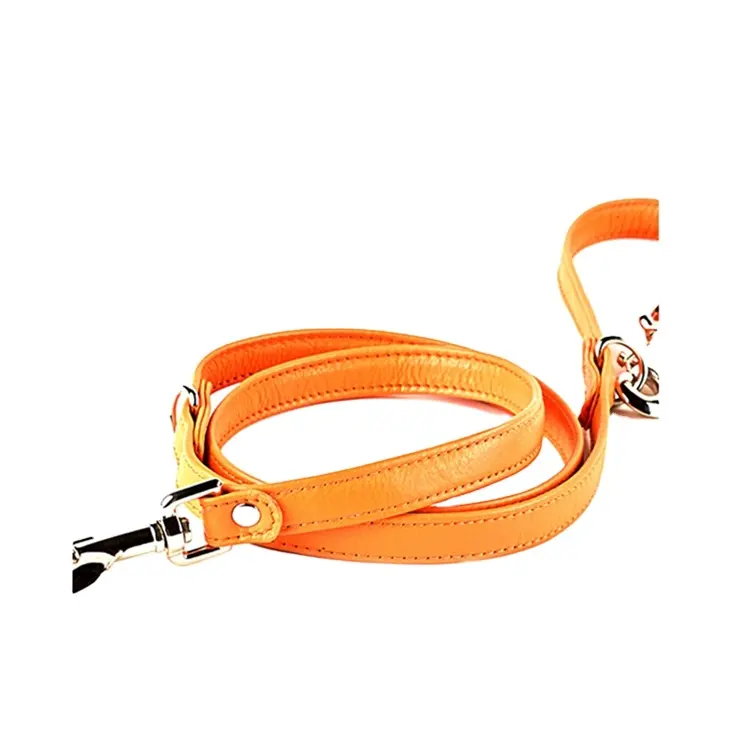 Pet supplies colorful leather dog collar leash