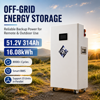 Batería Solar Residencial de Bajo Voltaje 51.2V 314Ah con Corriente de 200A y BMS para Almacenamiento de Energía en el Hogar