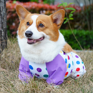 <b>Dog</b> Four Legged Full Coverage Belly Band Dustproof Pet Outdoor Bodysuit Corgi <b>Clothes</b> Yellow Purple Dark Blue Four Seasons - Product Image 3