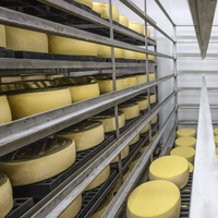 Ligne de Production de fromage Mozzarella et de beurre à petite échelle