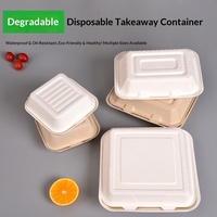 Boîte à lunch jetable biodégradable, boîte à burger, emballage pour tiramisu, vaisselle de transport pour barbecue extérieur et commerce international