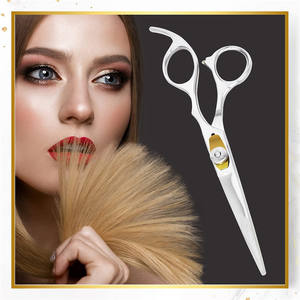 กรรไกรตัดผมอิโนเอะ คาซุทากะ 6.0 นิ้ว สแตนเลสสตีล สำหรับมืออาชีพ แบบปลายตรง ใช้สำหรับทำผมสวย - Product Image 3