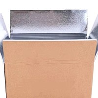 Caja de Envío con Aislamiento Térmico OEM, Caja de Cartón Corrugado Aislante para Frutas y Verduras, Embalaje para Alimentos Congelados