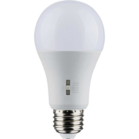 Ampoule LED WOOJONG A19 5CCT à intensité variable de type économie d'énergie 120V tension avec certification UL ETL pour un usage domestique