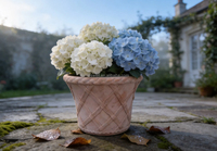 Pots vintage en terre cuite à motif en relief en treillis, ronds, pour arbustes fleuris, ornement de jardin