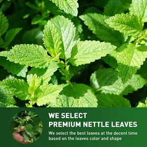 <span class=keywords><strong>Tisane</strong></span> Détoxifiante pour les Reins avec Feuilles d'Ortie – Sachets de Thé Frais pour la Purification Rénale - Product Image 3